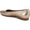 image:imageNaturalizer KellyBalletLight Champagne Snake