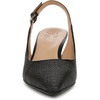 image:imageNaturalizer TansyBlack Straw