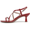 image:imageNaturalizer PorterRed Patent