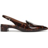 image:imageNaturalizer SloaneTortoise Brown