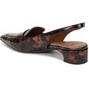 image:imageNaturalizer SloaneTortoise Brown