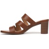 image:imageNaturalizer BeamingEnglish Tea Brown